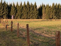 -汉长安城未央宫国家考古遗址公园