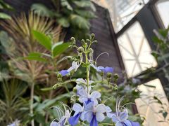 -北京植物园-展览温室