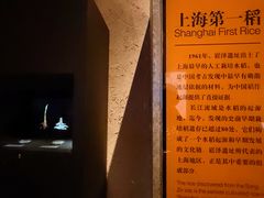-上海崧泽遗址博物馆