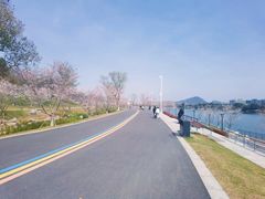 -羊山湖公园