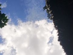 -自然餐厅(Phuket)