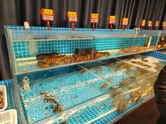 -韩记海鲜饺子旗舰店(红海新区店)