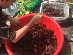 -辣盆盆麻辣小龙虾(哈尔滨总店)