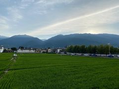 -喜林苑·稻田餐厅(品相府店)