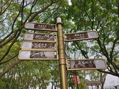 -江心屿景区