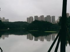 -重庆彩云湖湿地公园