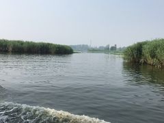 -白洋淀景区