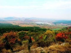 -闵行春申文化广场