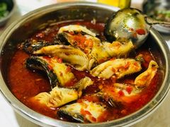 泡椒罗非鱼-风鑫铃罗非鱼(道沟店)