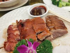 -黄埔华苑酒家(黄埔店)