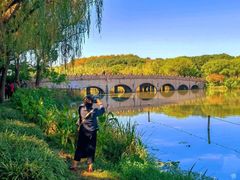 -昆山城市生态森林公园