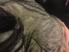 -Doors独立剧情密室(东门分店)