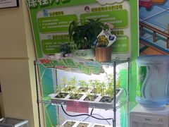 -艾克瑞特AI机器人·少儿编程·STEAM教育(万达校区)