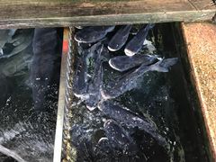 -洞密园美食城·二十二年老店(富华路店)
