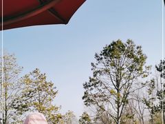-江苏三台山国家森林公园