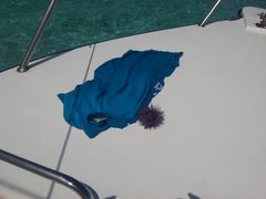 -蓝湾海滩