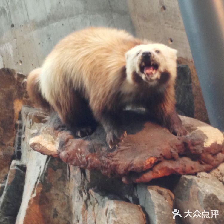 休息驿站