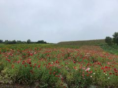 -鳌山滑雪度假区