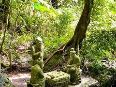 -七仙岭温泉国家森林公园