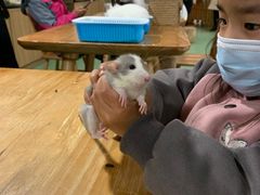 -藦茜花园宠物主题亲子互动体验馆(国顺东路店)