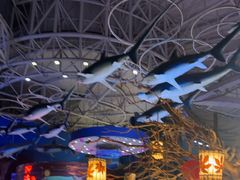 -烟台海昌鲸鲨海洋公园