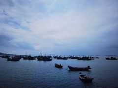 -海源公园