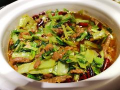 -楊公子民间菜
