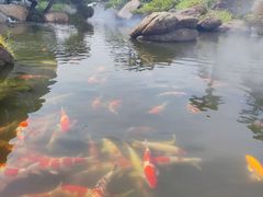 -罗红摄影艺术馆