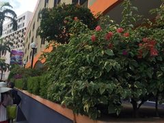 -兴旺海鲜砂煲王