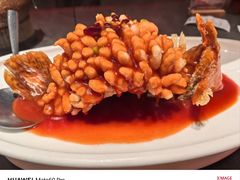 -小厨娘金榜题名(夫子庙秦淮河店)