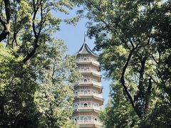 -灵谷景区