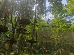 -WeLope紫金山探险公园