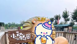 -萌宠亲子动物乐园(槐房万达店)