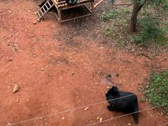 -昆明动物园