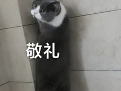 -韩热集市(百源店)