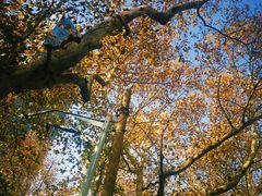 -常熟路(地铁站)