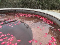 -咸宁万豪温泉谷度假区