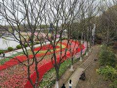 -上海鲜花港