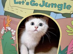 -关爱动物医院·心脏·中兽医·异宠(金牛路分院)