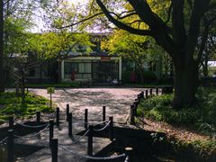 -上海共青森林公园