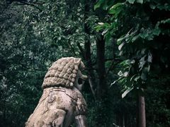 -雁荡山风景名胜区