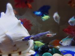 -七宝蔬菜农副产品综合交易市场-停车场