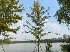 -昆山城市生态森林公园