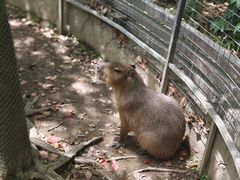 -宁波野生动物园