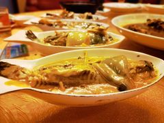 -长顺河豚馆(江洲东路)