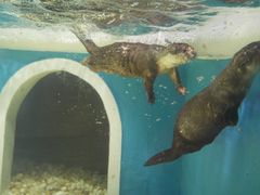 -成都浩海立方海洋公园