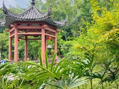 -广州神农草堂中医药博物馆