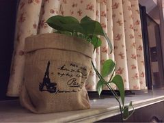 路易时光-LouisTime路易时光(蕴川路店)