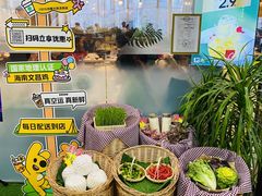 -烹然四季椰子鸡火锅(团结湖总店)