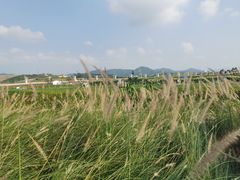 -光明小镇欢乐田园